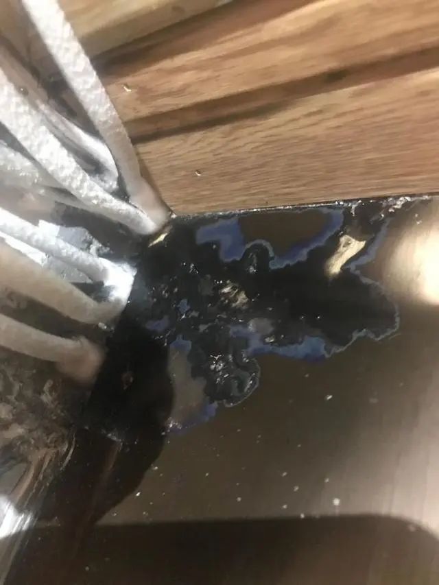 女子被家里蘑菇吓哭：一下子冒出来七八个菇