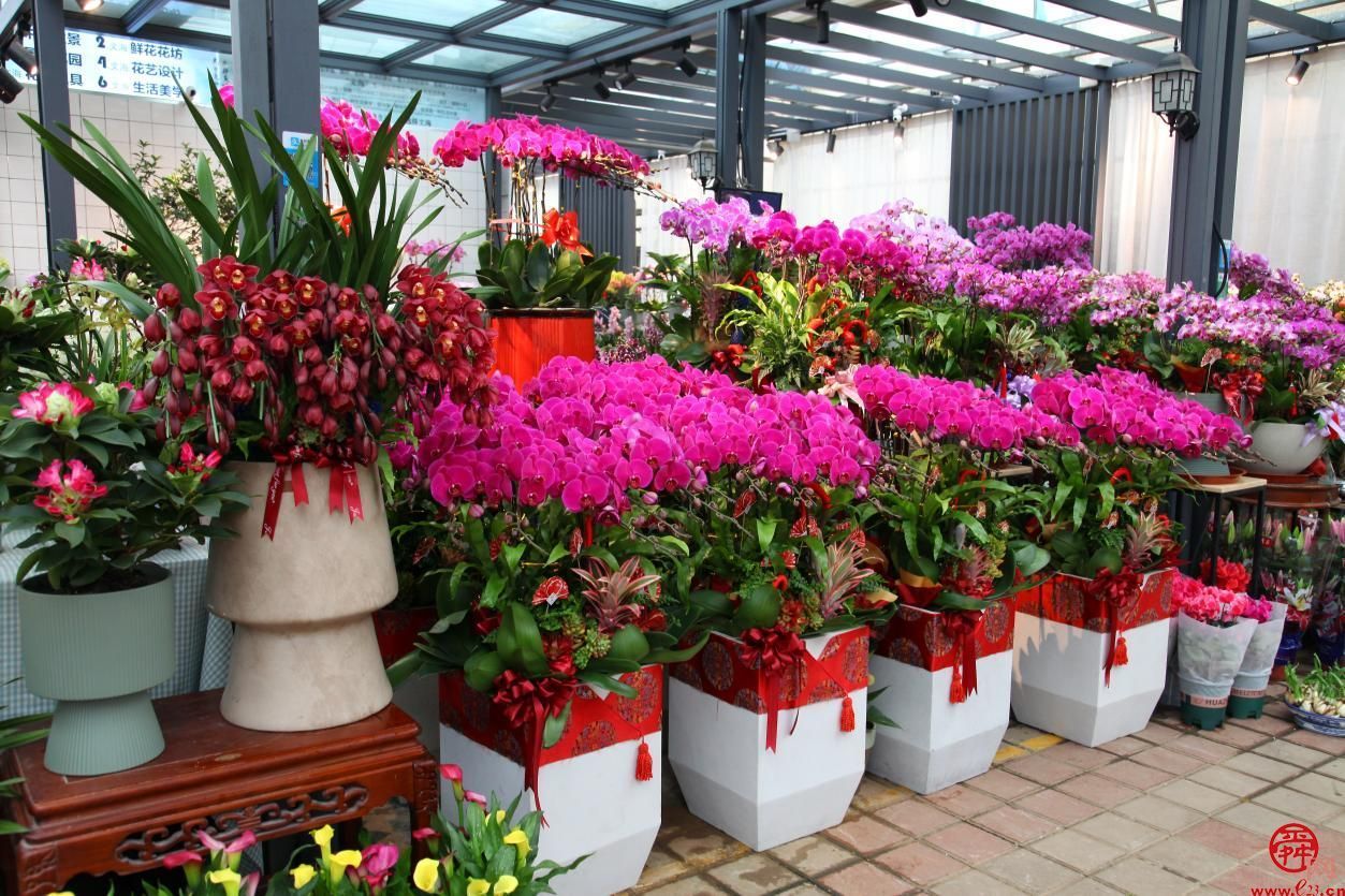 惠享济南文旅 畅游泉城新春济南文旅集团新年系列活动邀请市民游客欢天喜地过大年