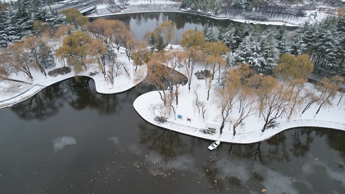 降雪如约而至 雪落大地景色如画