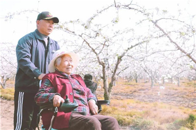 乳山：千亩梨花开正艳 乡村振兴画卷美