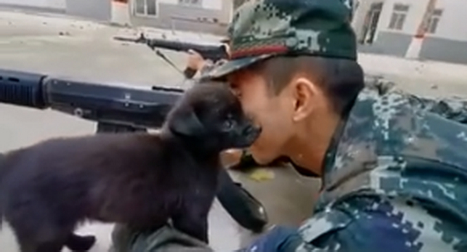 萌萌哒！狗子偷亲趴地训练兵哥哥，兵哥哥真的不敢动