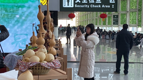 灵芝、鸭梨受热捧！冠县“牵手”遥墙机场为本地特色产品推广添翼
