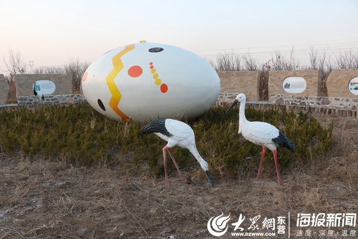 这就是东营丨东营河口面条沟湿地：净化水质还创造如画美景