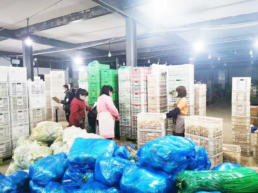 记者探访济南“菜篮子”——蔬菜市场商超多举措保供应