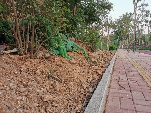 【啄木鸟在行动】市中区二环东路搬倒井路段绿化带内渣土堆积