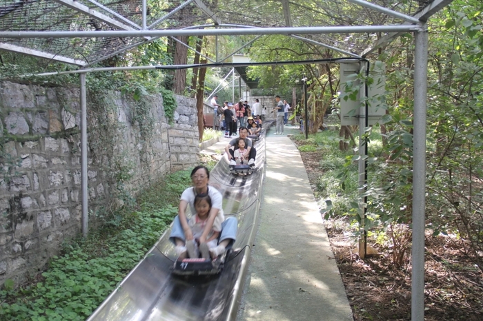 人气十足！10月1日千佛山、动物园等公园景区迎来假期首个客流高峰