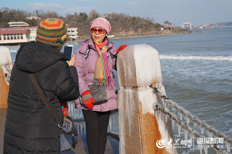 这就是山东丨冰凌、海鸥……大雪过后烟台的海边又美出了新高度