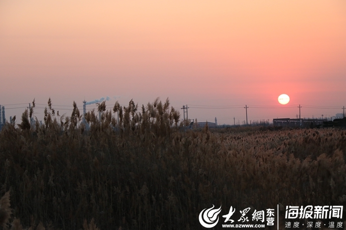 这就是东营丨东营河口面条沟湿地：净化水质还创造如画美景