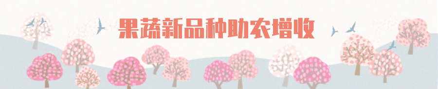 这条脱贫致富路，多姿又多彩！