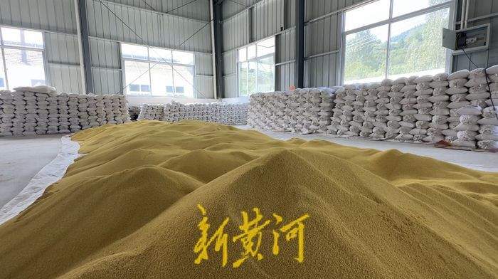 从“穷山沟”到“聚宝盆”,济南一村庄十来天卖出20万斤小米