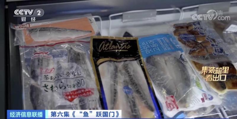 来水产品出口大省山东，看一条鲅鱼的出海之旅