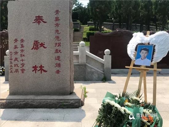 感动全城！泪别青岛7岁器官捐献男孩和和，谢谢你来人间走一趟