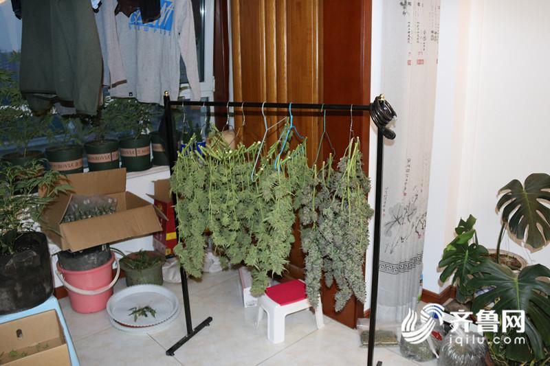  东营垦利破获特大网络贩毒案 交易全靠比特币