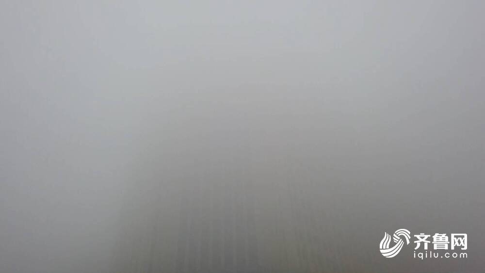 山东多地发布大雾预警 50多个收费站临时封闭