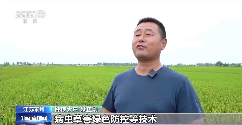 水稻、谷子、菱角……多地共绘秋收好“丰景”