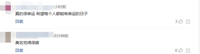 最靓身份证号：吉林这些20后宝宝将获得幸运靓号！网友羡慕不来