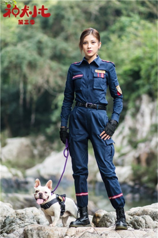 《神犬小七3》开播 王祉萱反差出演温婉女兽医