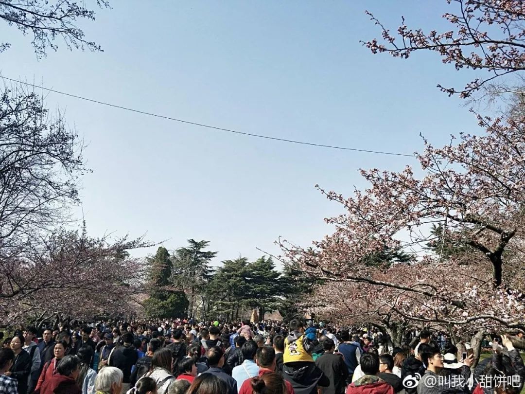 胶州湾大桥变停车场、高速堵到发红 躺在家的人偷着乐吧