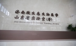 槐荫这一年｜聚焦高能级创新平台建设  助力槐荫“西兴”腾飞