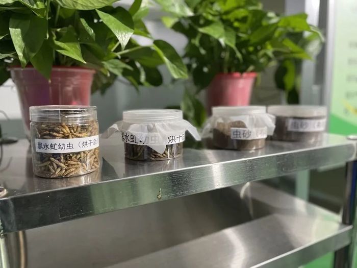 “5G+机器人”智能操作 这家商场厨余垃圾就地处理