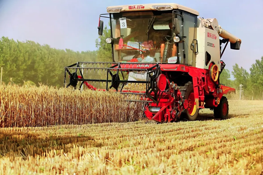 全国“三夏”小麦大规模机收基本结束