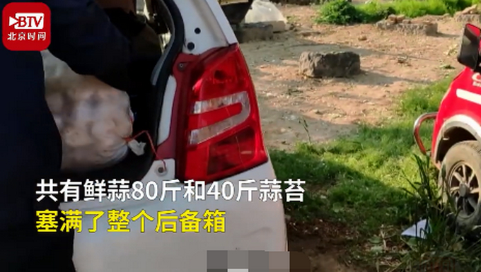 还有这种操作?返程后备箱被母亲塞80斤大蒜 确认过眼神是亲妈没错了