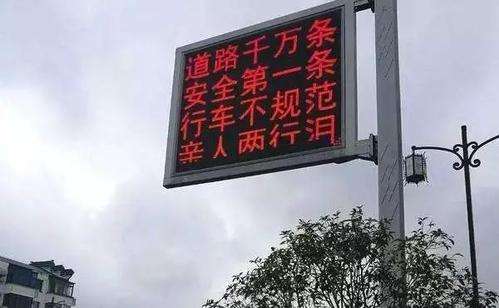 3月起驾照可“加”到18分！山东8市已试点，附指南