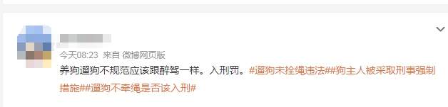 遛狗未拴绳致使宠物被撞死亡，谁来负责？