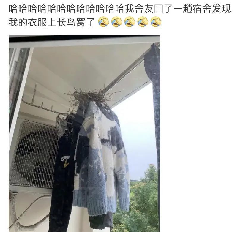 万物生长！好久不见的宿舍，推开门后懵了：人生处处有惊喜