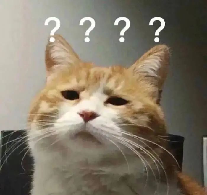 早上5点半，上海7岁男孩独自带着闹钟赶地铁！网友：有前途