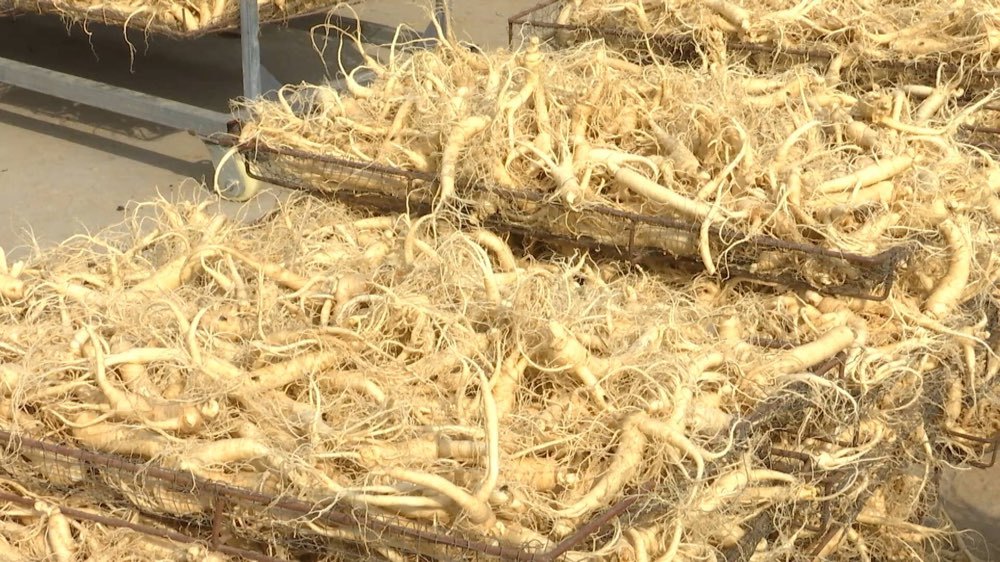 山东马德里国际注册商标、地理标志商标再获2项全国第一