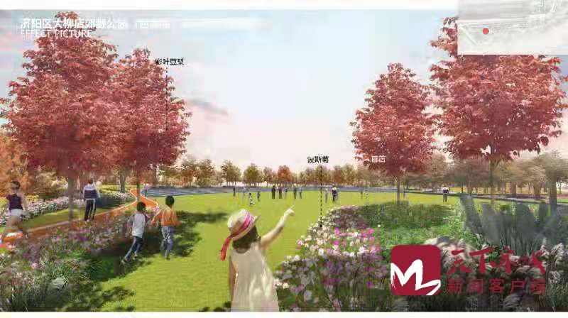 济南黄河淤背区防护林建设开工 6处郊野公园建设4月下旬开工