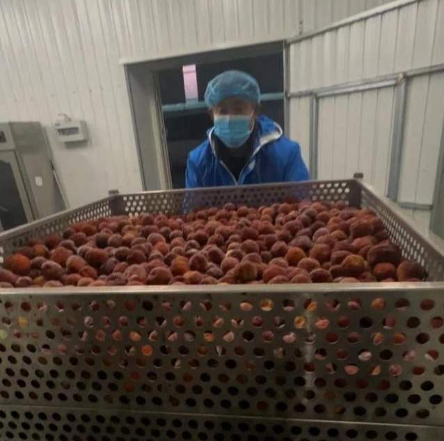 冲上热搜！2吨潍坊冻枣发往哈尔滨，免费送！山东网友馋哭：我也想吃……