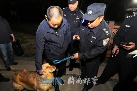 第二波罚单已经送达！您还心存侥幸违法养犬、不文明养犬吗？
