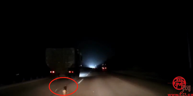 济南起步区：移动高清监控让渣土车“滴洒漏”无所遁形