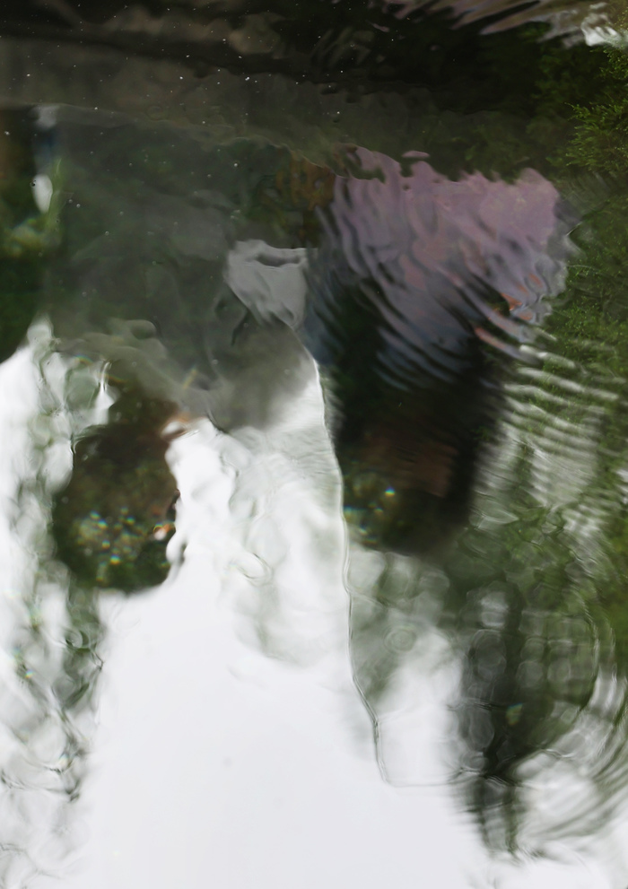 泉水奇观，难得一见！济南金线泉“金线奇观”再现