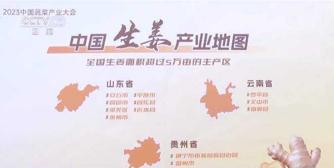 我国首次发布蔬菜产业地图 莱芜生姜“图”上有名