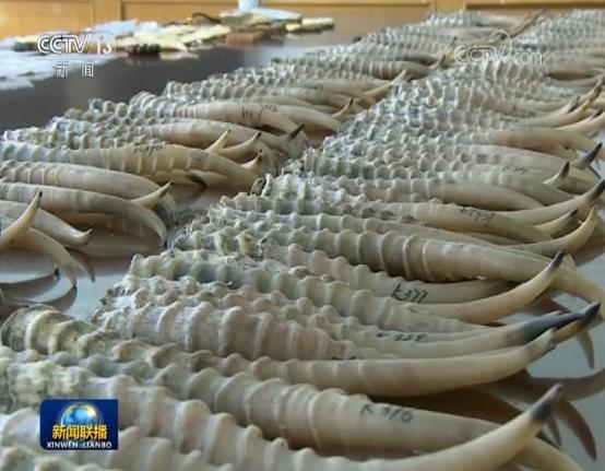 国务院联防联控机制新闻发布会：累计治愈出院病例32495例