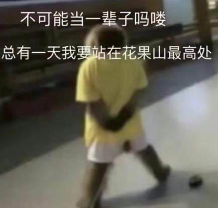 一夜之间“吗喽”占领了年轻人的生活圈 来自何方？