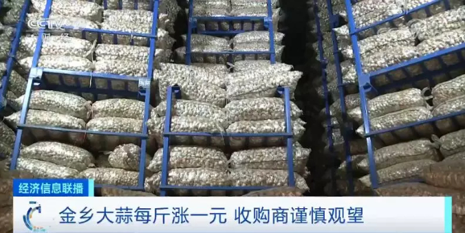 “蒜”你狠？新蒜价格坐“过山车” 爬上三年新高!