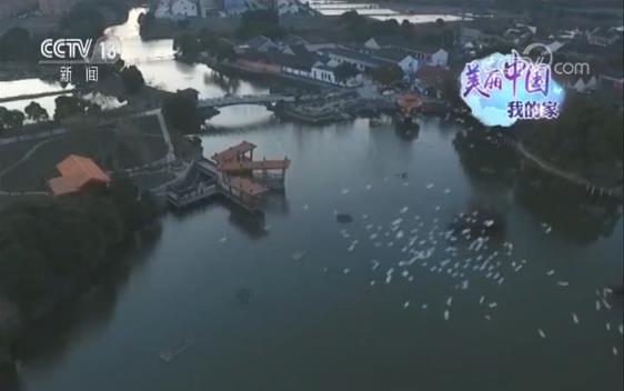 【美丽中国·我的家】浙江德清：爱鸟护鸟 带动旅游发展