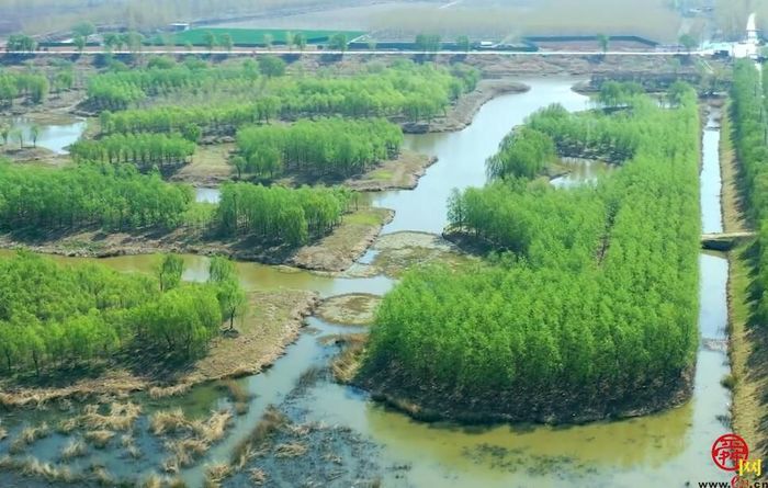 【飞阅泉城】自然湿地风光好云踏青带您领略小清河源头湿地