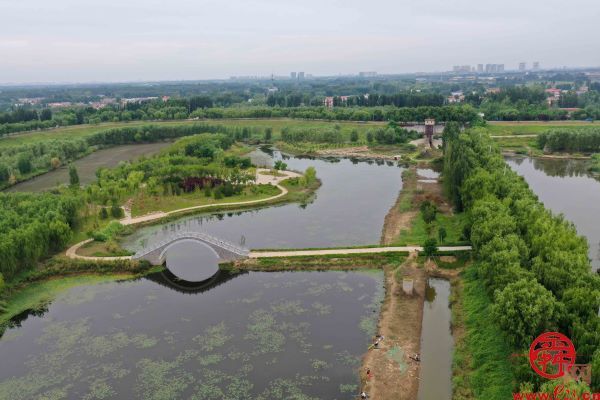 描绘黄河生态新画卷① ｜ 滔滔黄河水 润泽一座城