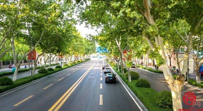 历下控股转型发展蹚出新路子，硬核实力创启多元发展新未来