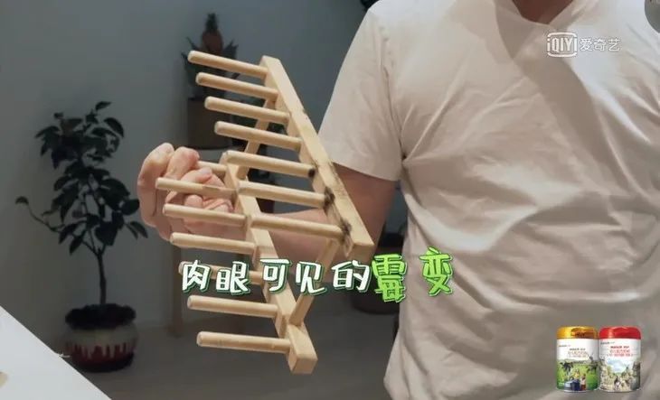做家务的王祖蓝，犯了一个很多男人都会犯的错误