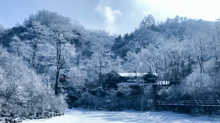 情人节，济南九如山现雾凇奇观，这洁白像极了爱情