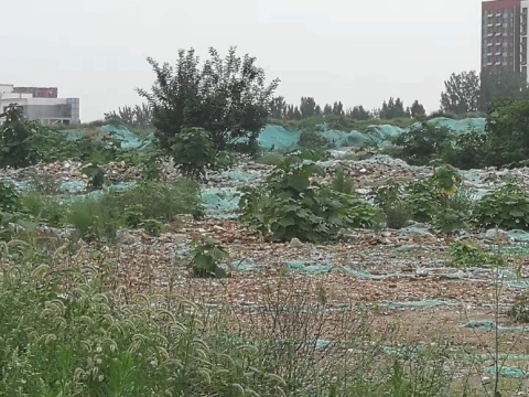【啄木鸟在行动】长清区滨河路附近建筑垃圾露天堆放