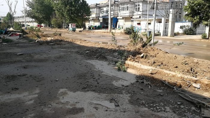 【啄木鸟在行动】市中区党杨路013乡道附近道路松土处于裸露状态