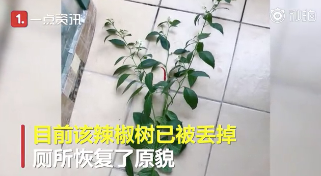 万物生长！好久不见的宿舍，推开门后懵了：人生处处有惊喜