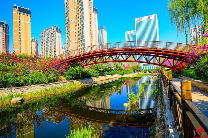 春天里的历下：一幅生机盎然的生态画卷